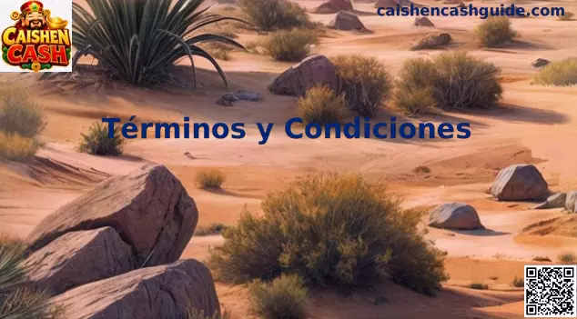 Términos y Condiciones de Caishen Cash